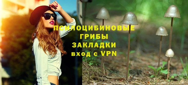 бошки Абаза