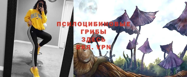 бошки Абаза